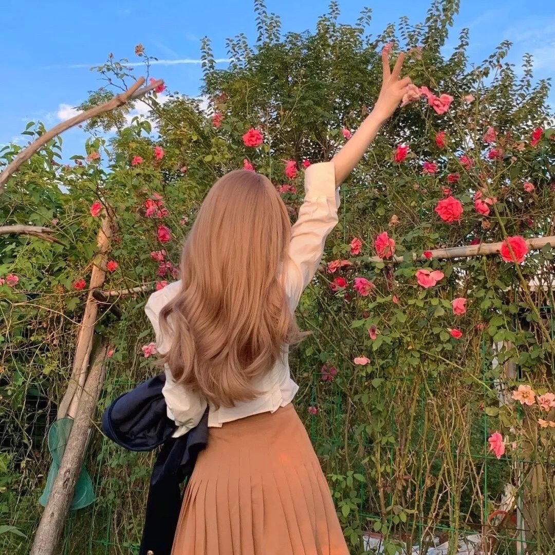 和歌子酒第九季